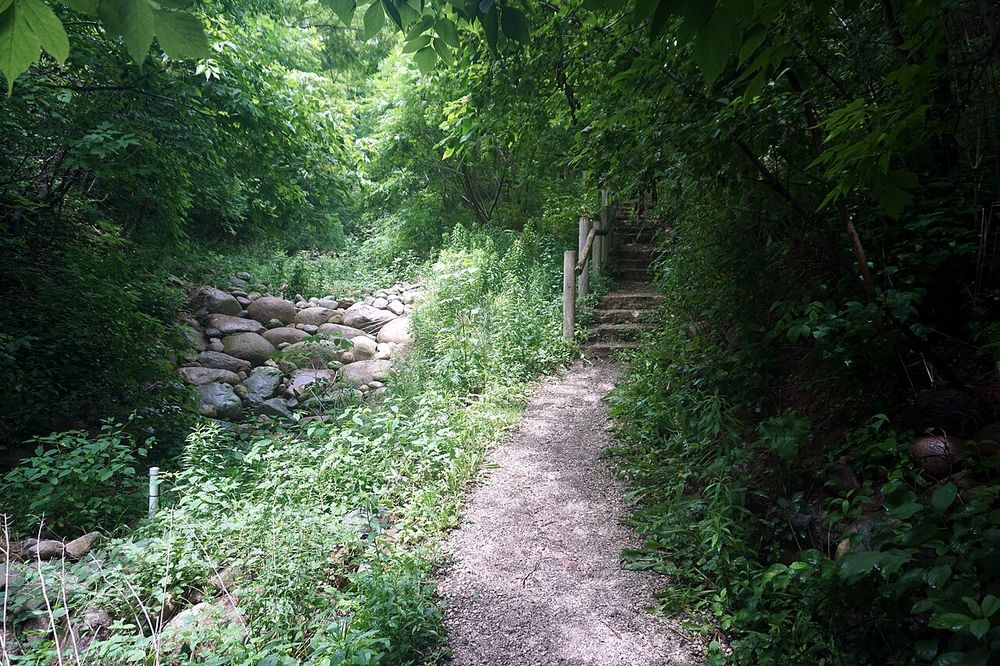 Тропа South Lighthouse Ravine Trail в Lake Park